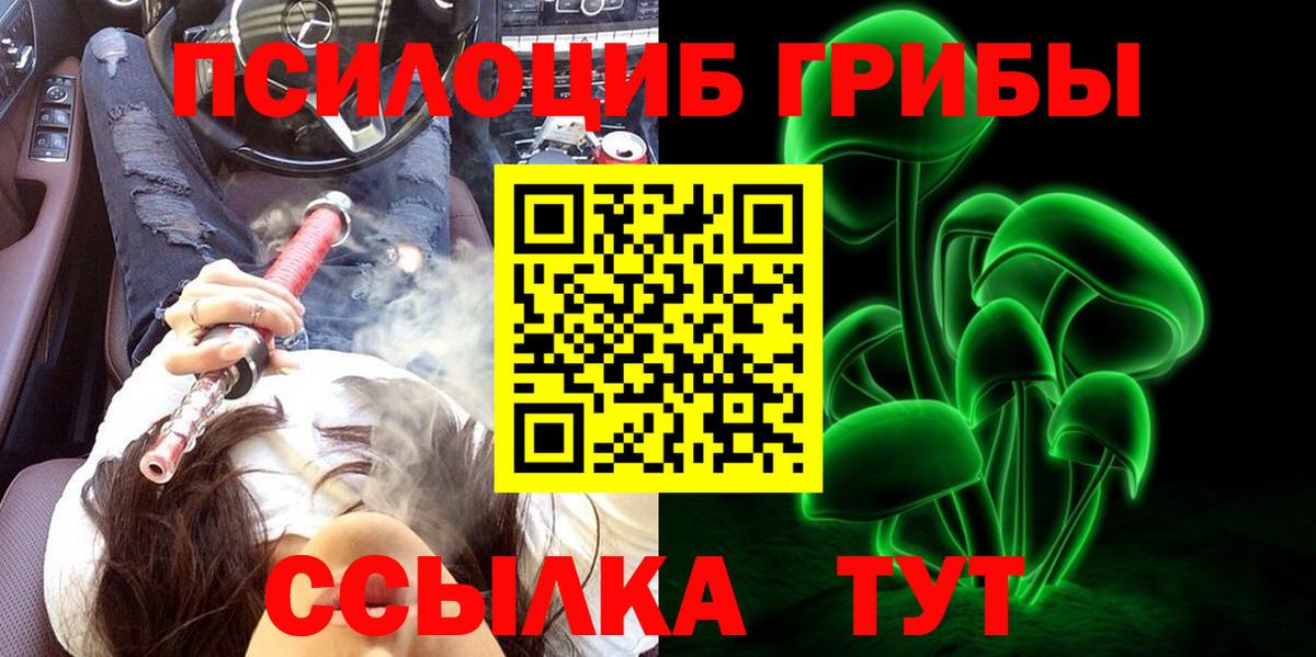 Галлюциногенные грибы Psilocybe Сунжа