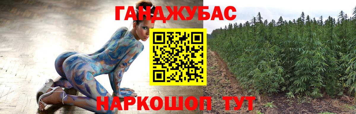 Бошки марихуана сатива Сунжа