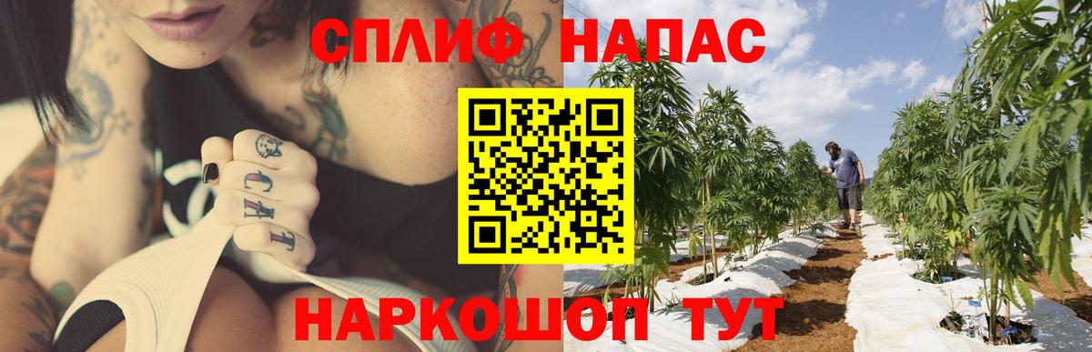 Канабис индика  Конопля THC 21%  МАРИХУАНА Ganja  Сунжа  Бошки Шишки THC 21%  Вход с VPN 